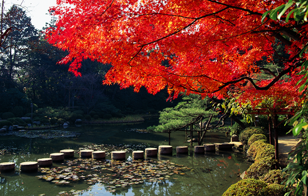 Heian Shrine4