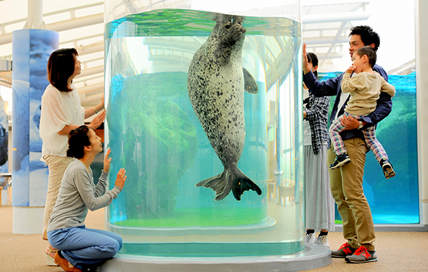 Kyoto Aquarium2
