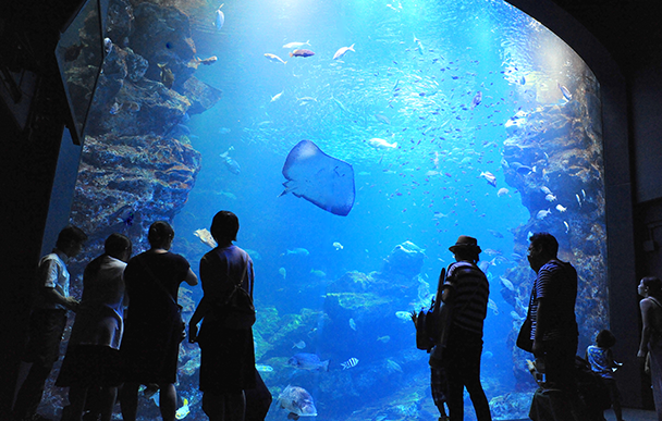 Kyoto Aquarium3