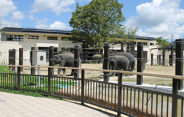 Kyoto City Zoo2