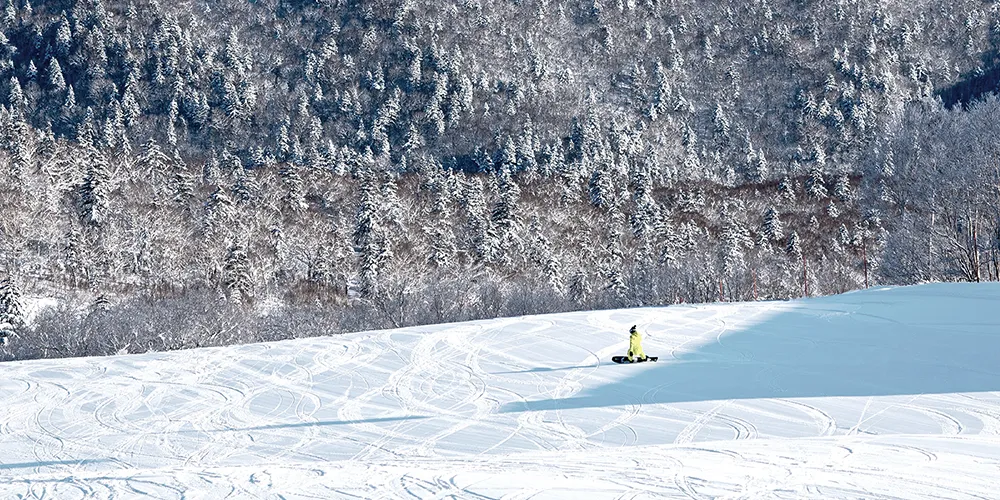 札幌国際スキー場