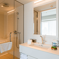 Executive Studio Double / Bathroom